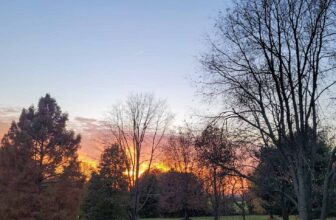 The Little Issues E-newsletter #390 – Life, ...