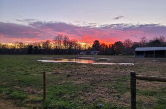 The Little Issues E-newsletter #391 – Life, ...