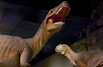 Due To Volcanic Exercise, Dinosaurs Had been Doome...