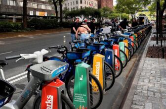 Citi Bike Rings within the New Yr With a Value Hik...