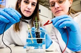 The Morning After: The most effective video games ...