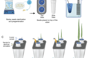 Swedish Researchers develop ‘digital soil’ tha...