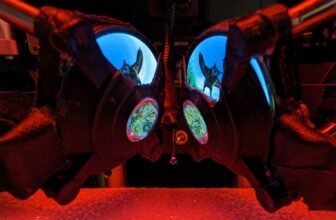 Researchers made VR goggles for mice to check how ...
