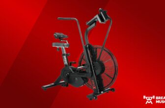 Assault Health AssaultBike Professional X Evaluati...