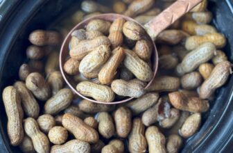 CROCK POT BOILED PEANUTS – The Southern Girl...