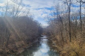 The Little Issues Publication #393 – Life, l...