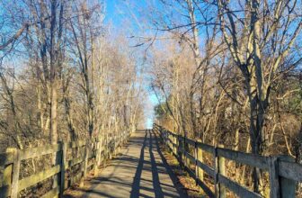 The Little Issues Publication #395 – Life, l...