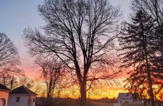 The Little Issues E-newsletter #396 – Life, ...