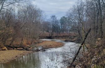 The Little Issues Publication #397 – Life, l...