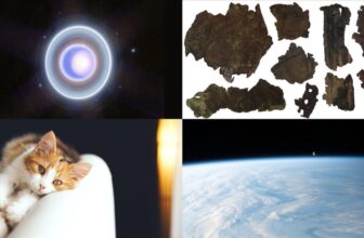 Rings Round Uranus, Leather-based Fabricated from ...