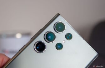 Easy methods to take wildlife pictures along with ...