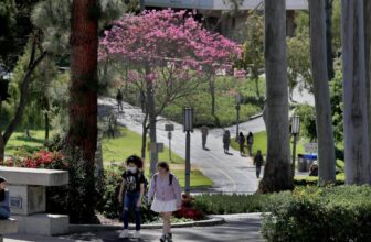 UC Irvine College students Hospitalized After Hack...