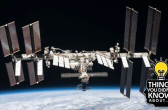 13 Issues You Did not Know Concerning the Worldwid...