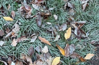 Easy methods to Beat the Winter Blues… — Esté...