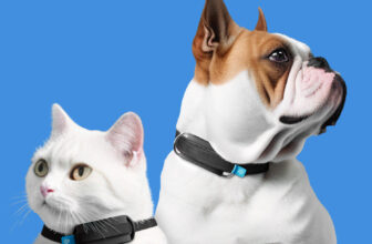 From Coronary heart Well being to GPS Monitoring: ...