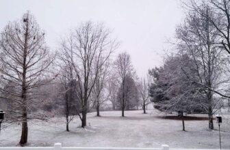 The Little Issues E-newsletter #399 – Life, ...