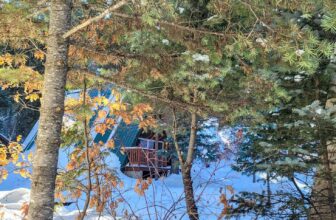 The Little Issues Publication #400 – Life, l...