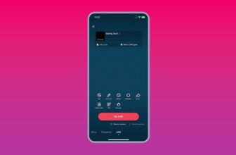 How one can go reside on TikTok: All the things to...