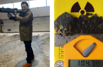 U.S. Prices Yakuza Chief Over Alleged Plot to Ship...