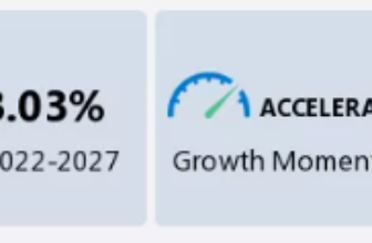 Digital Image Body Statistics 2024 and Details