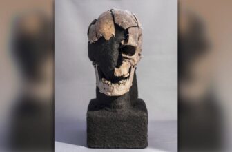 Human Sacrifice Sufferer’s Tooth Reveal His ...