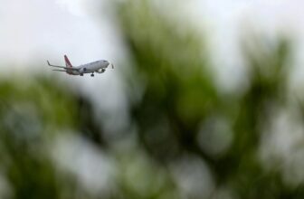 FAA’s Boeing Security Report Would not Encou...
