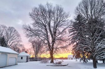 The Little Issues Publication #404 – Life, l...