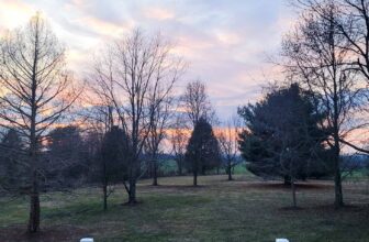 The Little Issues Publication #405 – Life, l...