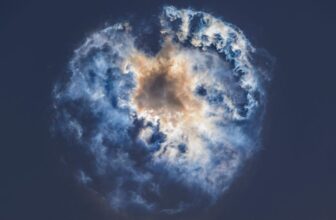 We Lastly Know Why SpaceX’s Starship Exploded (T...