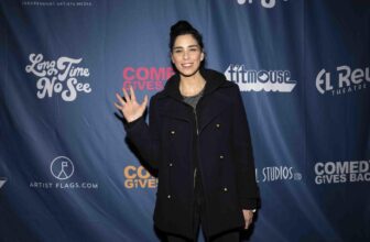 Sarah Silverman’s copyright infringement swimsui...