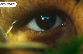 The Greatest Mutant Film of the 12 months Has a Ne...