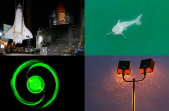 Our First Take a look at a New child Nice White Sh...