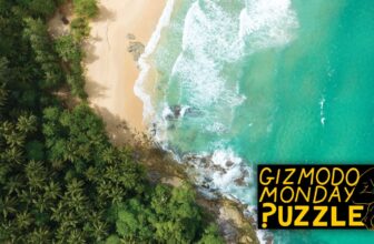 Survivor Contestants Confronted This Problem and T...