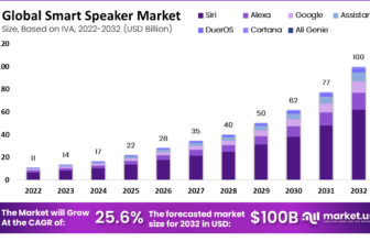 Sensible Speaker Statistics 2024 By Income and Cus...