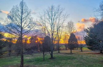 The Little Issues Publication #406 – Life, l...