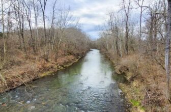 The Little Issues E-newsletter #407 – Life, ...