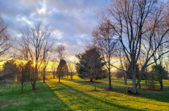 The Little Issues Publication #408 – Life, l...