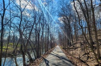 The Little Issues E-newsletter #410 – Life, ...