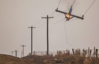 No, Biden Did not ‘Admit’ Texas Wildfires Have...