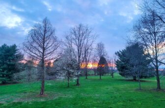 The Little Issues Publication #411 – Life, l...