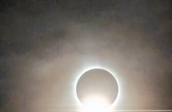 The Little Issues Publication #412 – Life, l...